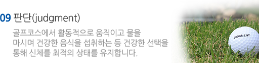 판단력