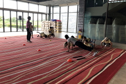 2018 하반기 정기교육_4주차_잭니1