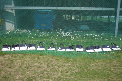 2018 상반기 정기교육_7주차 안산2